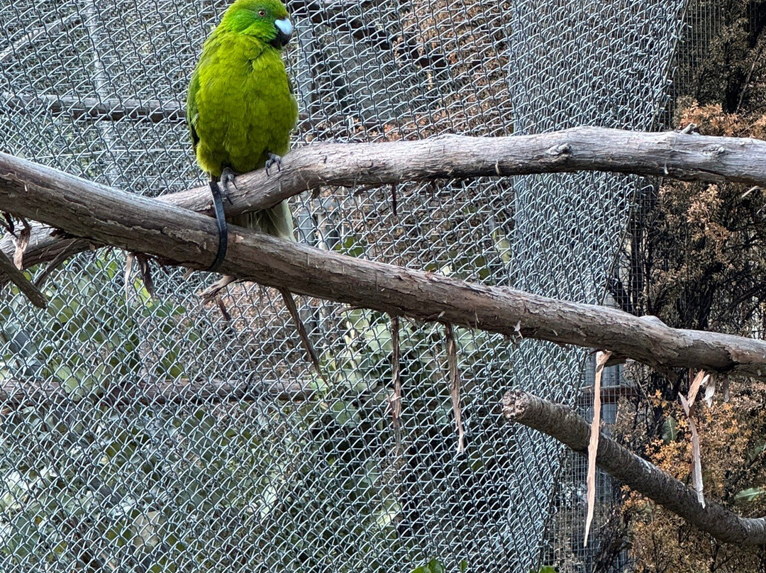 Te Anau Bird Sanctuary-蒂阿瑙必去景点
