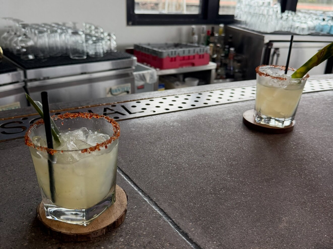 Agave Seasons Restaurant主图