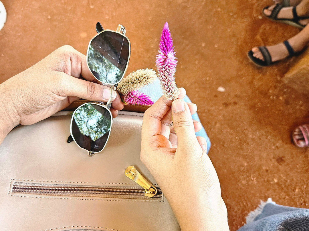 Trip Tin Adventures-海德拉巴必去景点