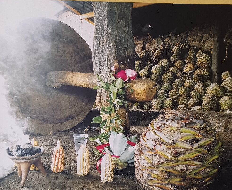 Lagartija Club Mezcal景点图片
