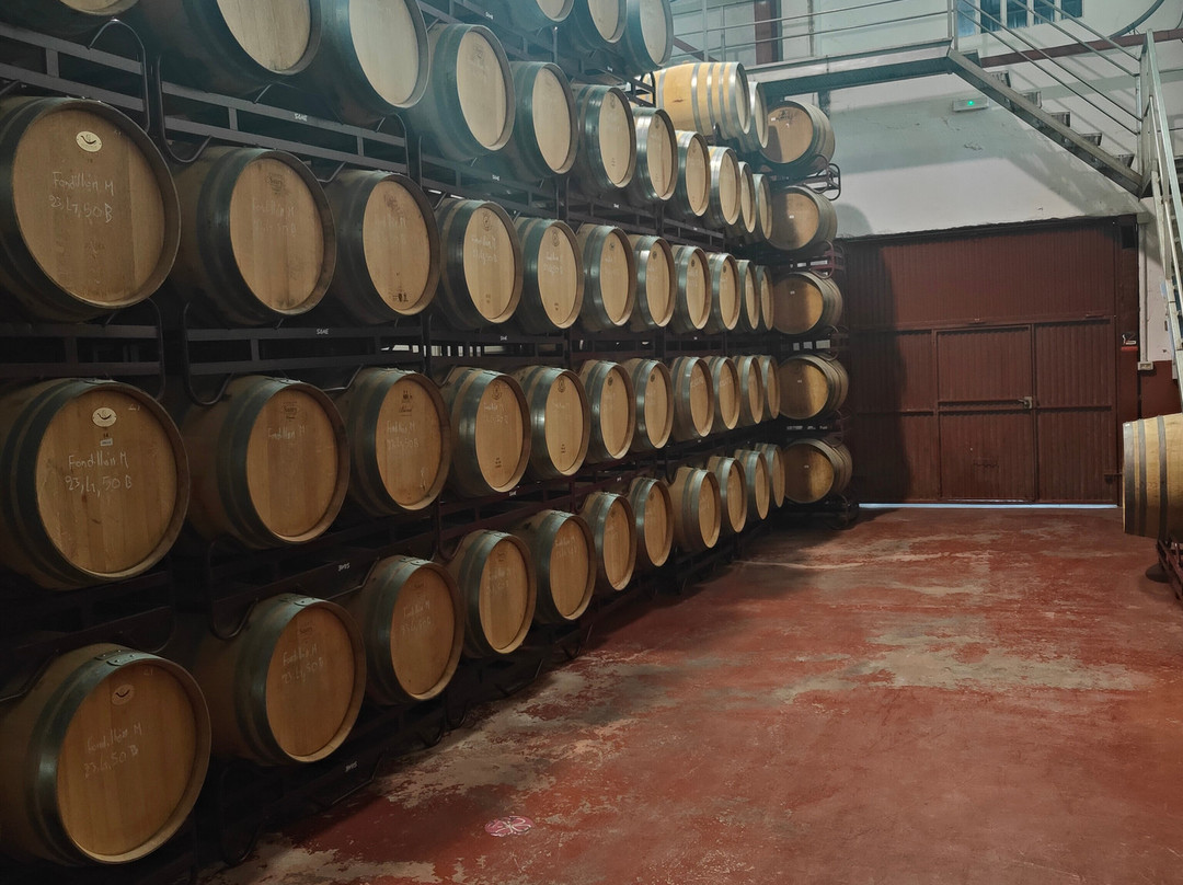 Bodega Santa Catalina del Manan景点图片