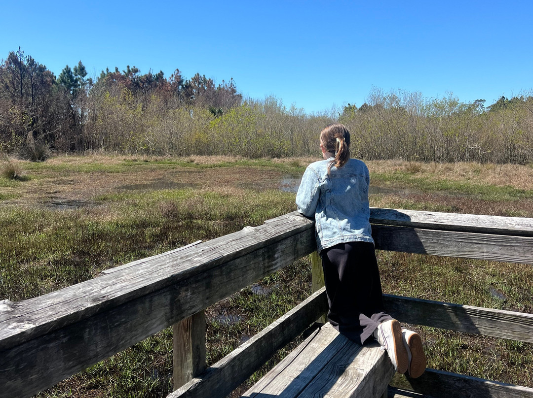 Dauphin Island Audubon Bird Sanctuary-Dauphin Island必去景点