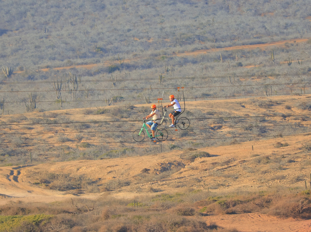 ParaViajantes Los Cabos-卡波圣卢卡斯必去景点