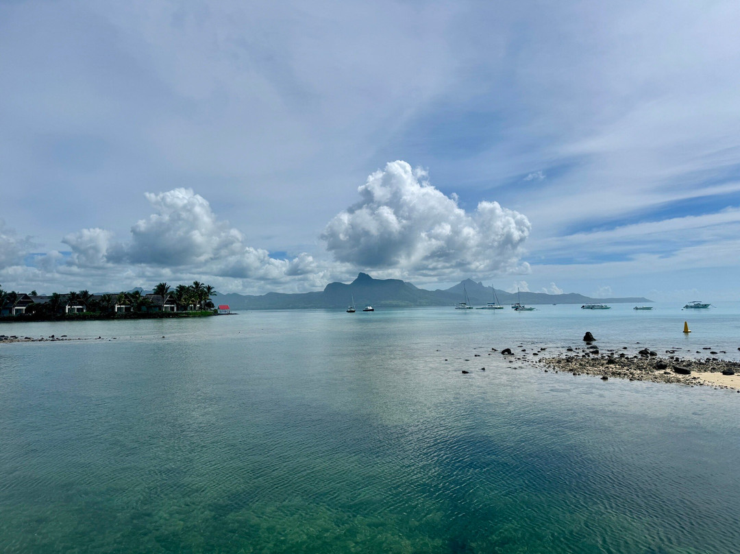 Mauritian Wildlife Foundation (MWF)-Vacoas必去景点