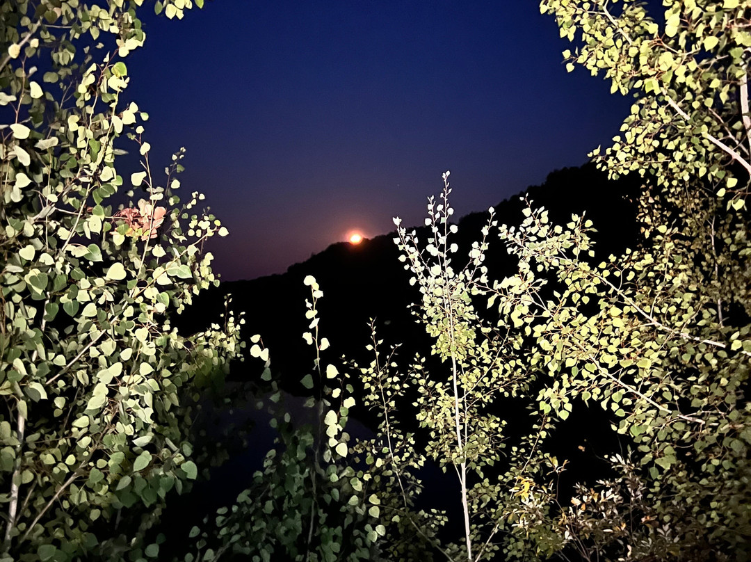 Redhead Mountain Bike Park-Chisholm必去景点