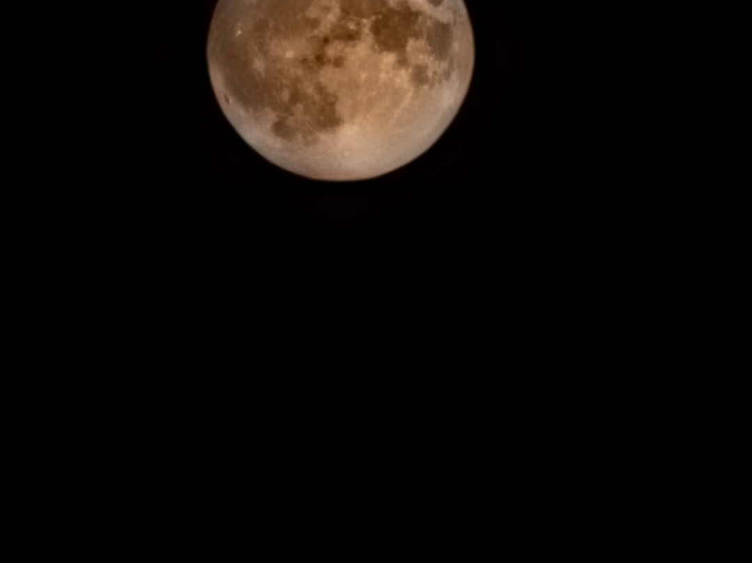 Redhead Mountain Bike Park-Chisholm必去景点