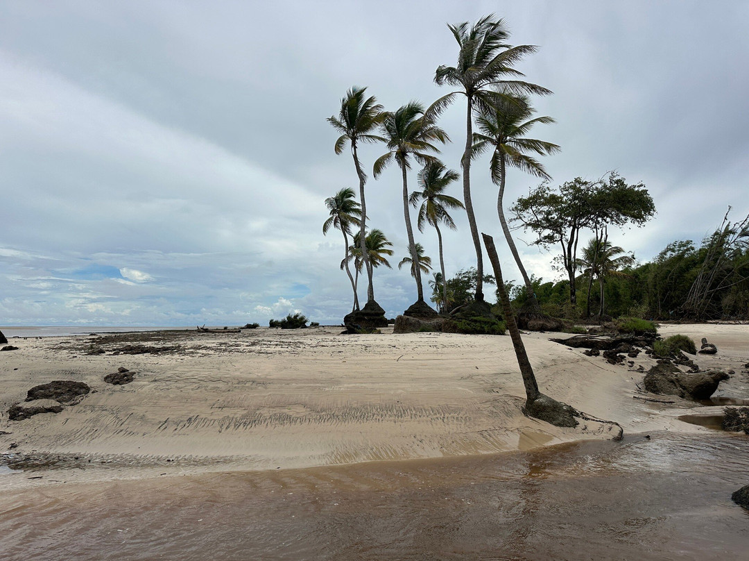 Caju-Una Beach-Ilha do Marajo必去景点