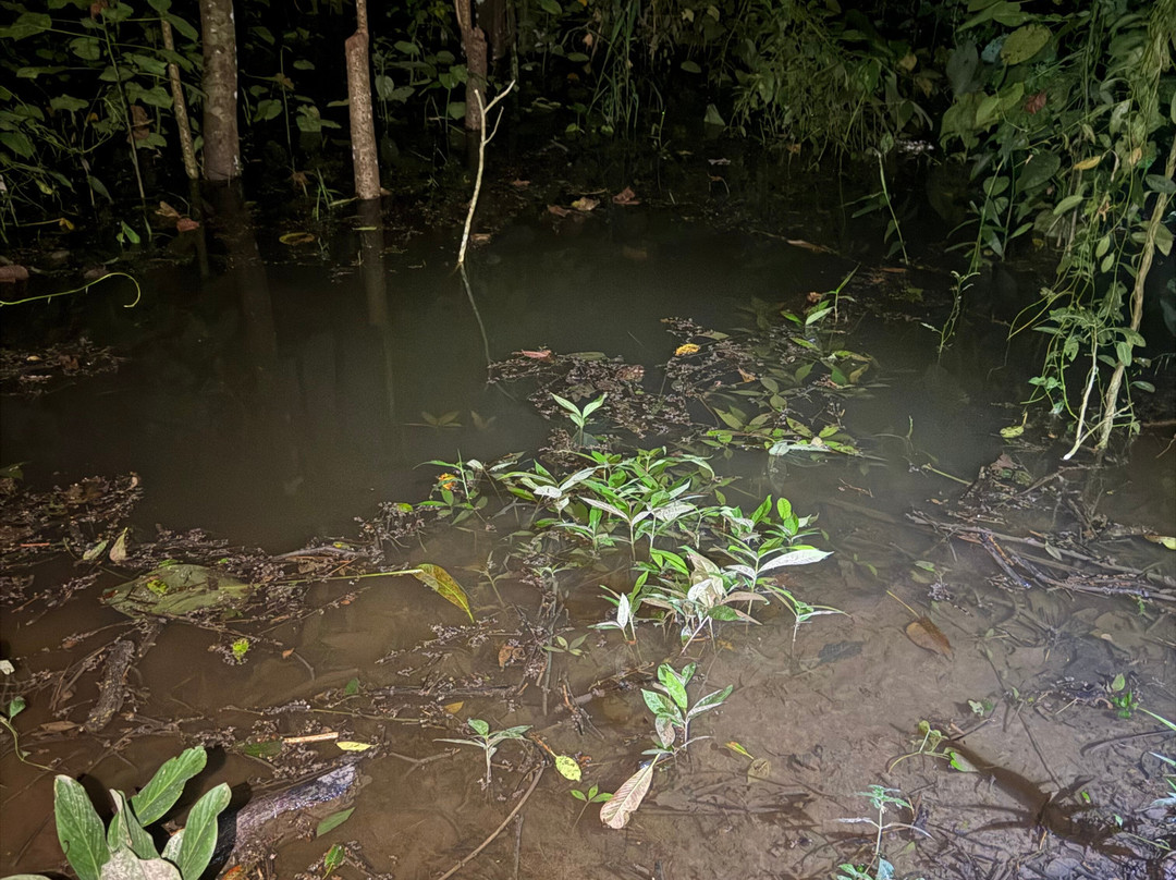 Amazonian Trails-伊基托斯必去景点