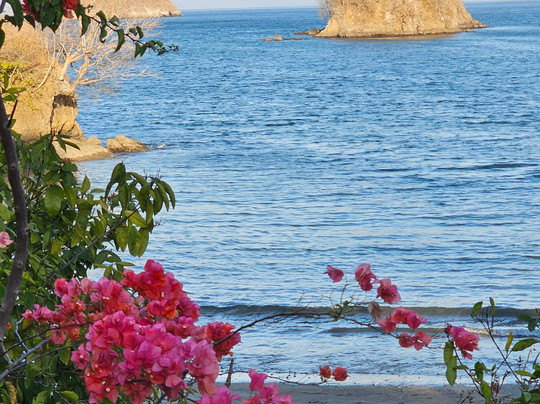 Turismo Maritimo del Pacifico - TM TOURS-彭塔雷纳斯必去景点