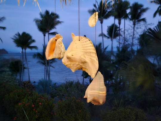 Turismo Maritimo del Pacifico - TM TOURS-彭塔雷纳斯必去景点