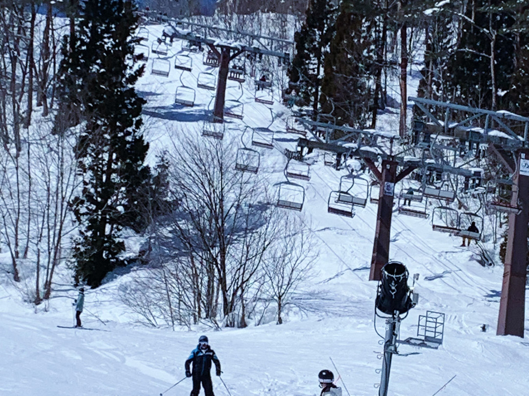 信州白马八方温泉 白马庄主图