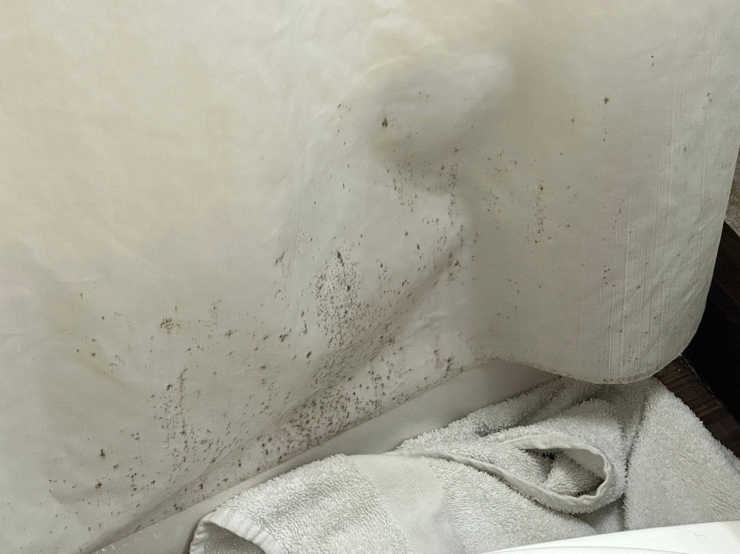 Microtel Inn & Suites by Wyndham Ardmore主图