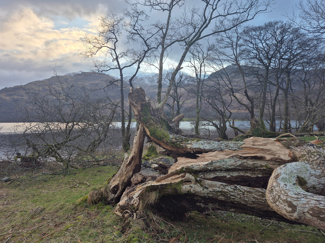 City Mountaineering-伦敦必去景点