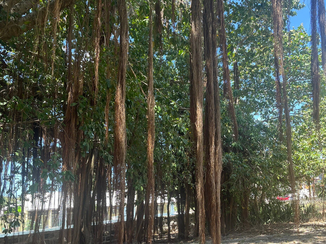 Barbados Museum & Historical Society-布里奇顿必去景点