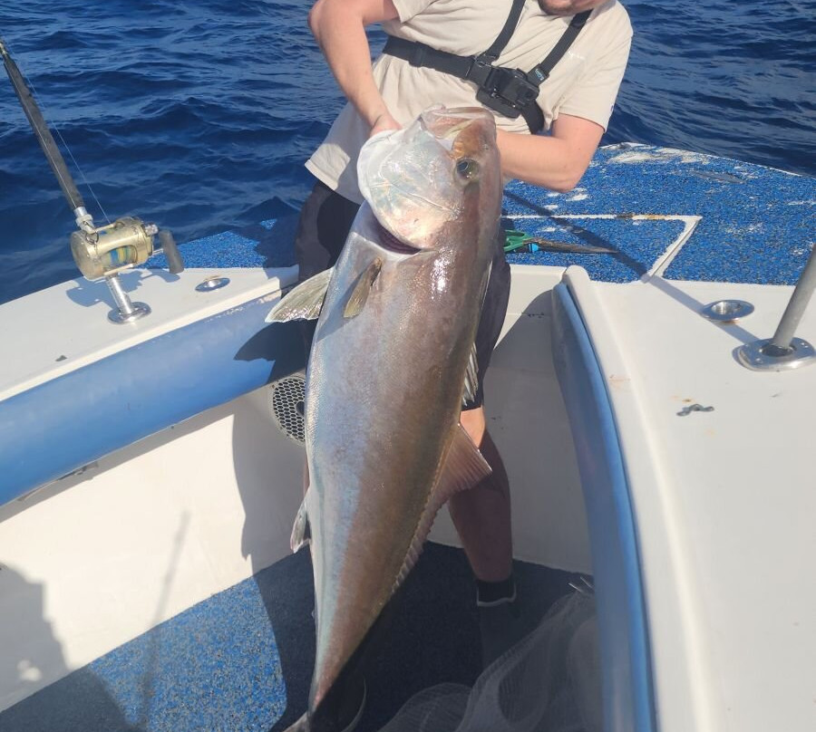 Blue Heaven Charter-伊斯拉摩拉达必去景点