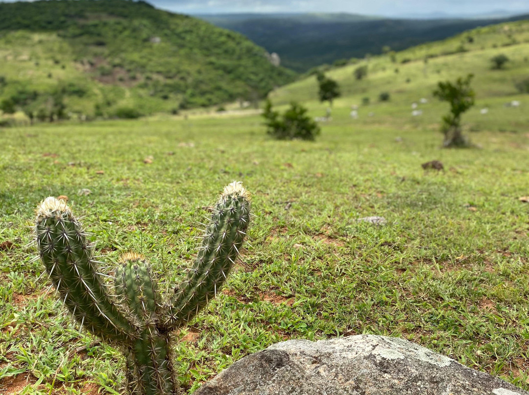 Canios do Macapa-Araruna必去景点