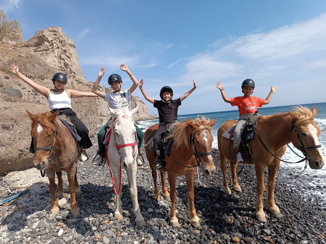 Experience Horse Riding景点图片