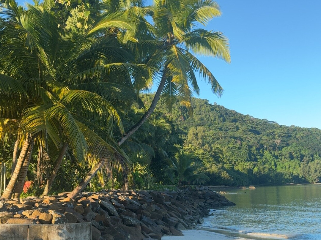The Seaboards Apartments Seychelles主图