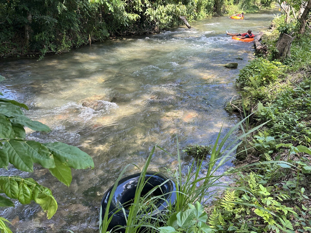 Yardy River Adventures景点图片