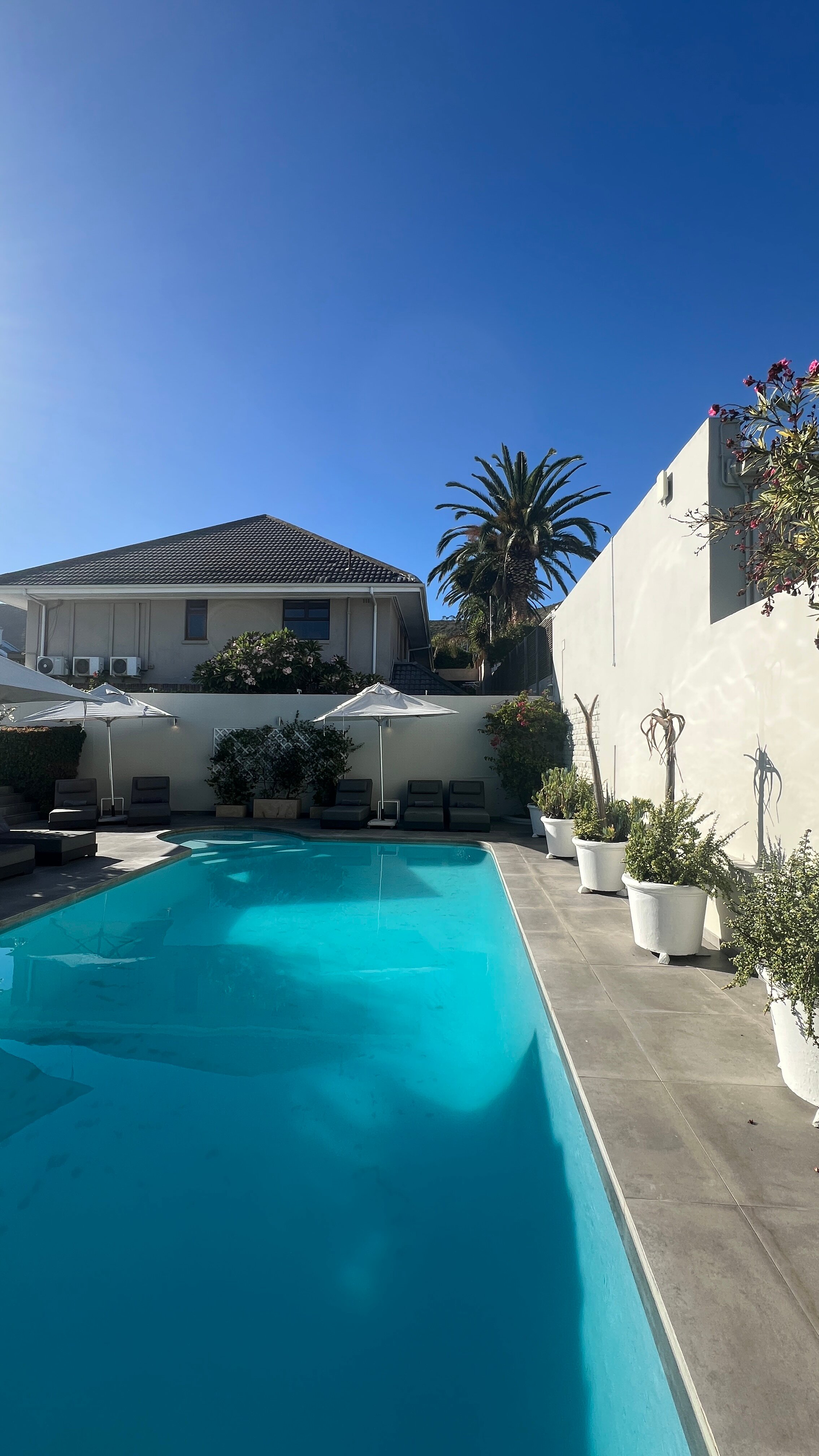 The Clarendon Fresnaye-官方