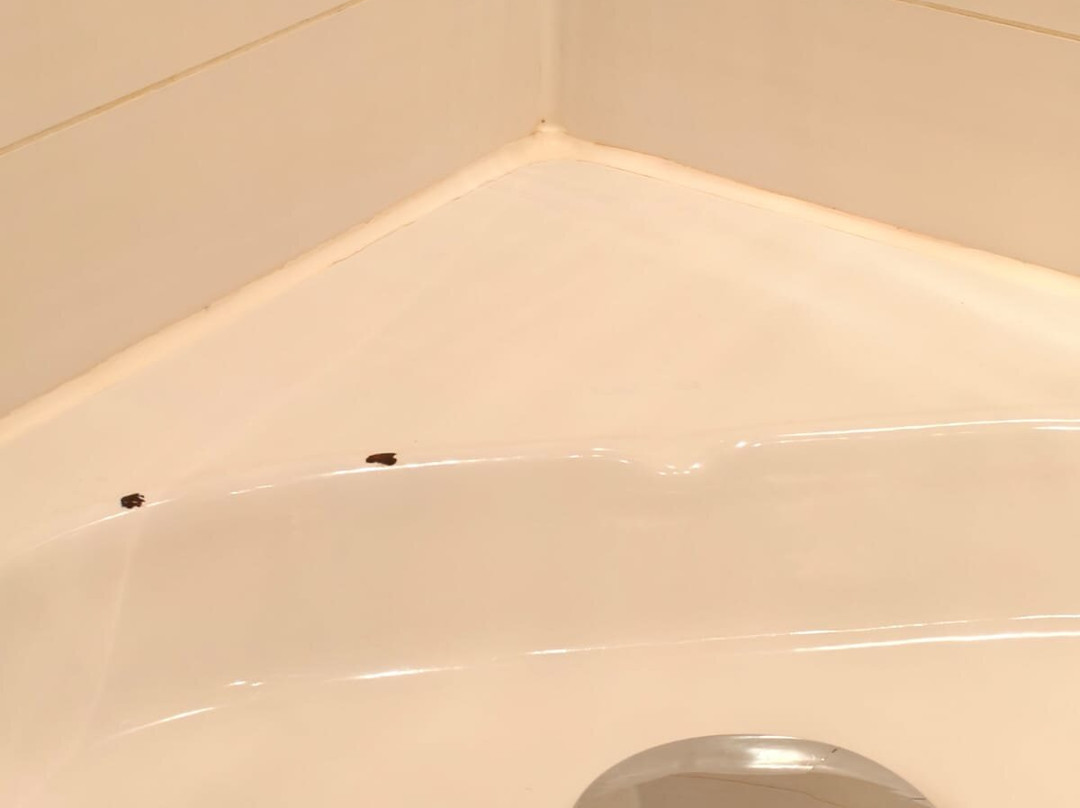 Stadtresidenz Suite Hotel主图