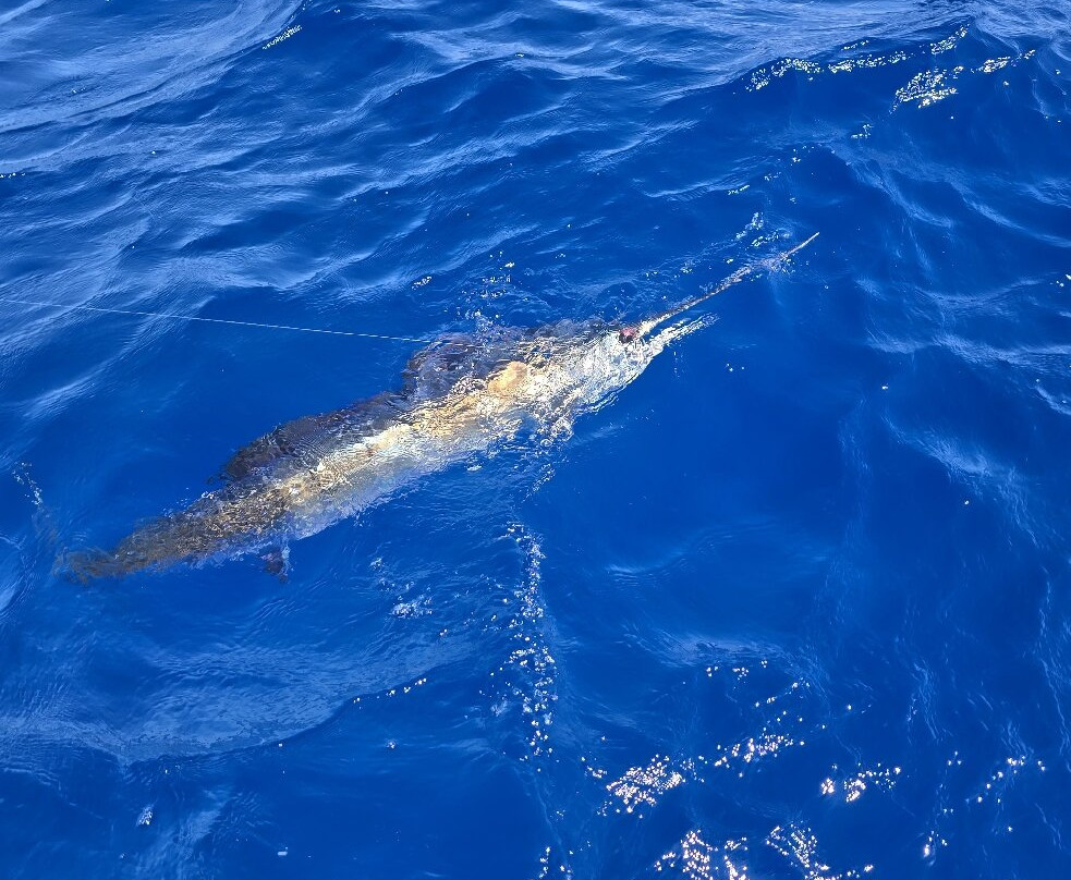 Ridla Charters-基韦斯特必去景点