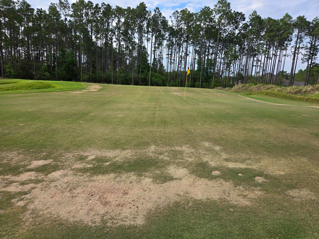 Windswept Dunes Golfcourse-Freeport必去景点