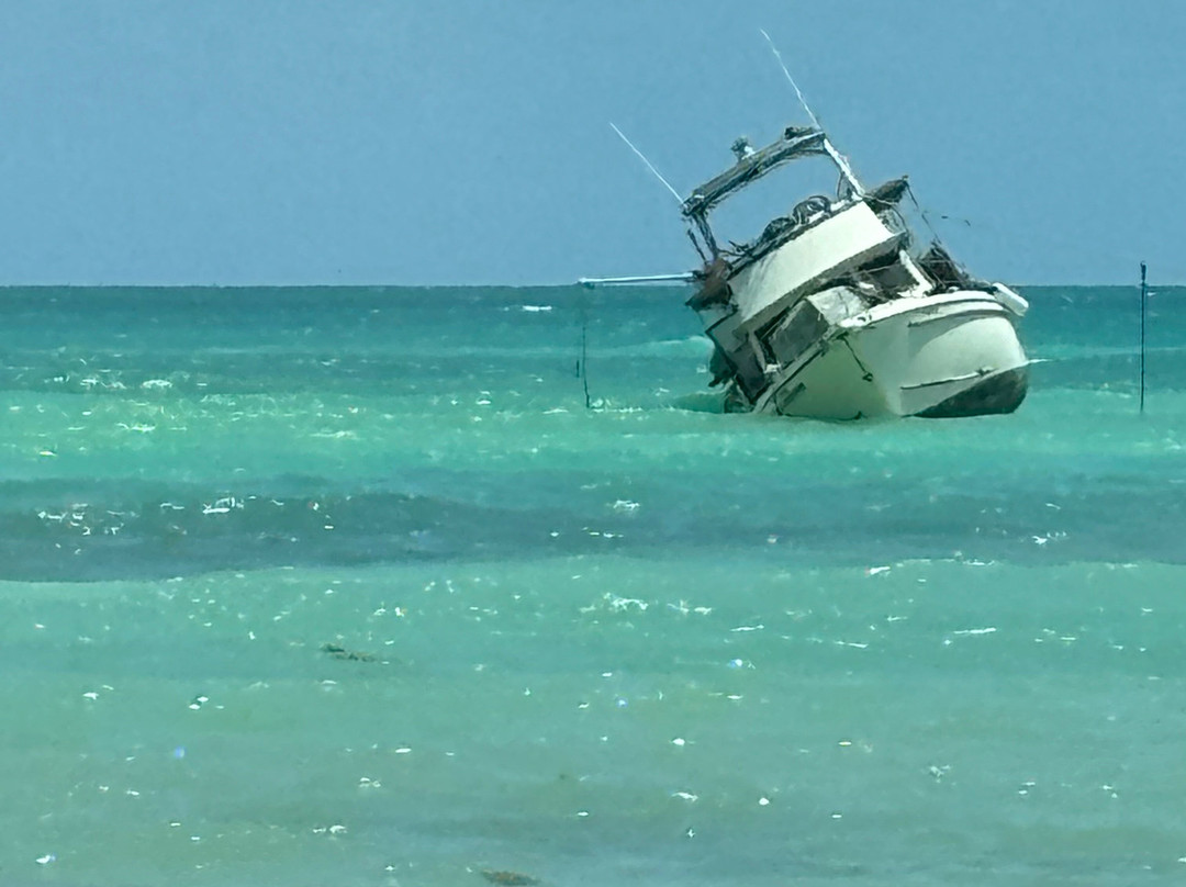 African Queen Canal Cruise-拉哥岛必去景点
