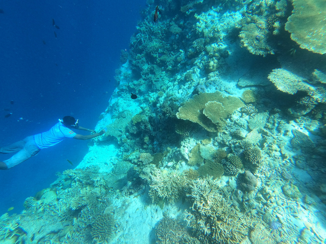 Guraidhoo Excursions & Water Sports景点图片