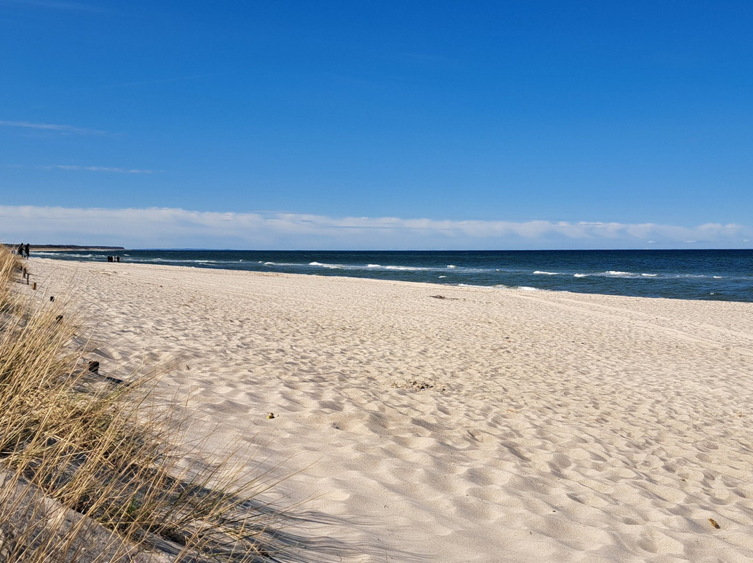 Ostseebad Dierhagen景点图片