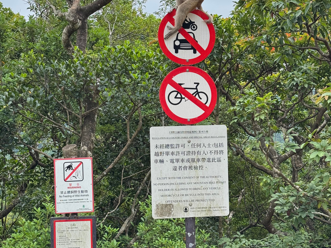 金山郊野公园-香港必去景点