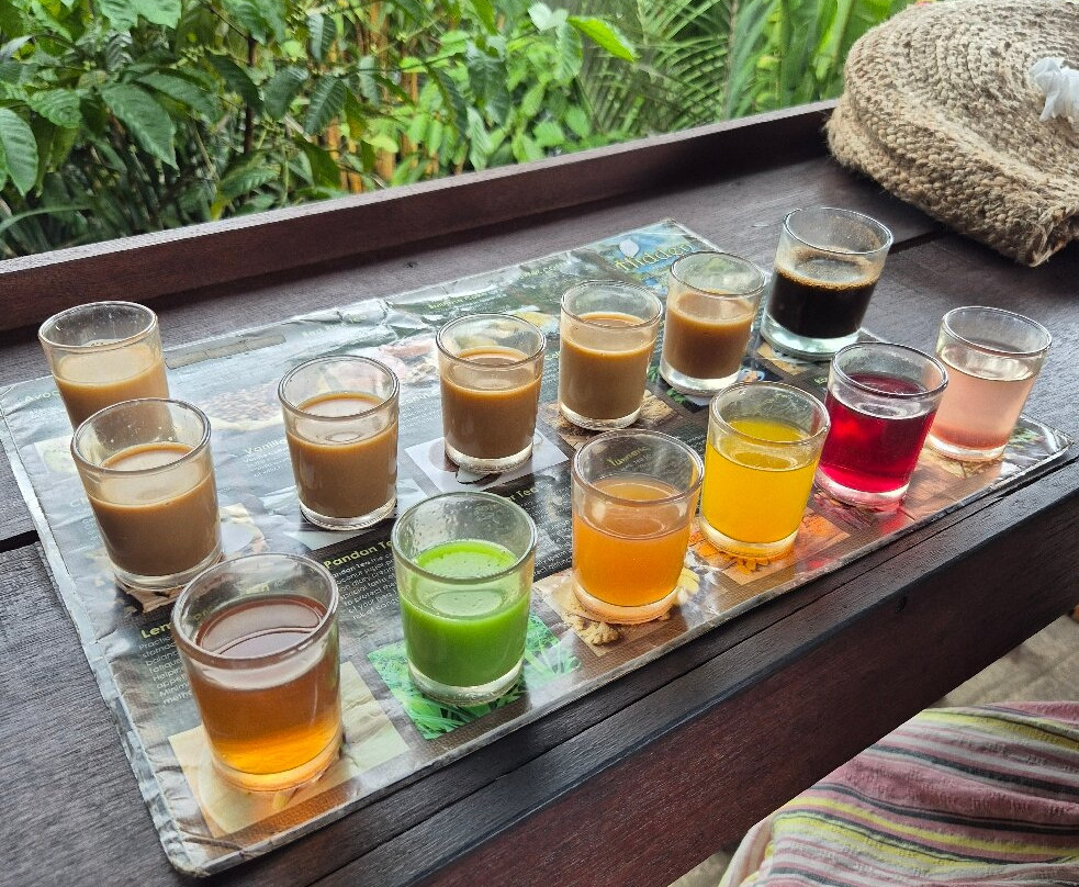 Hidden Garden Agriculture-达巴南必去景点