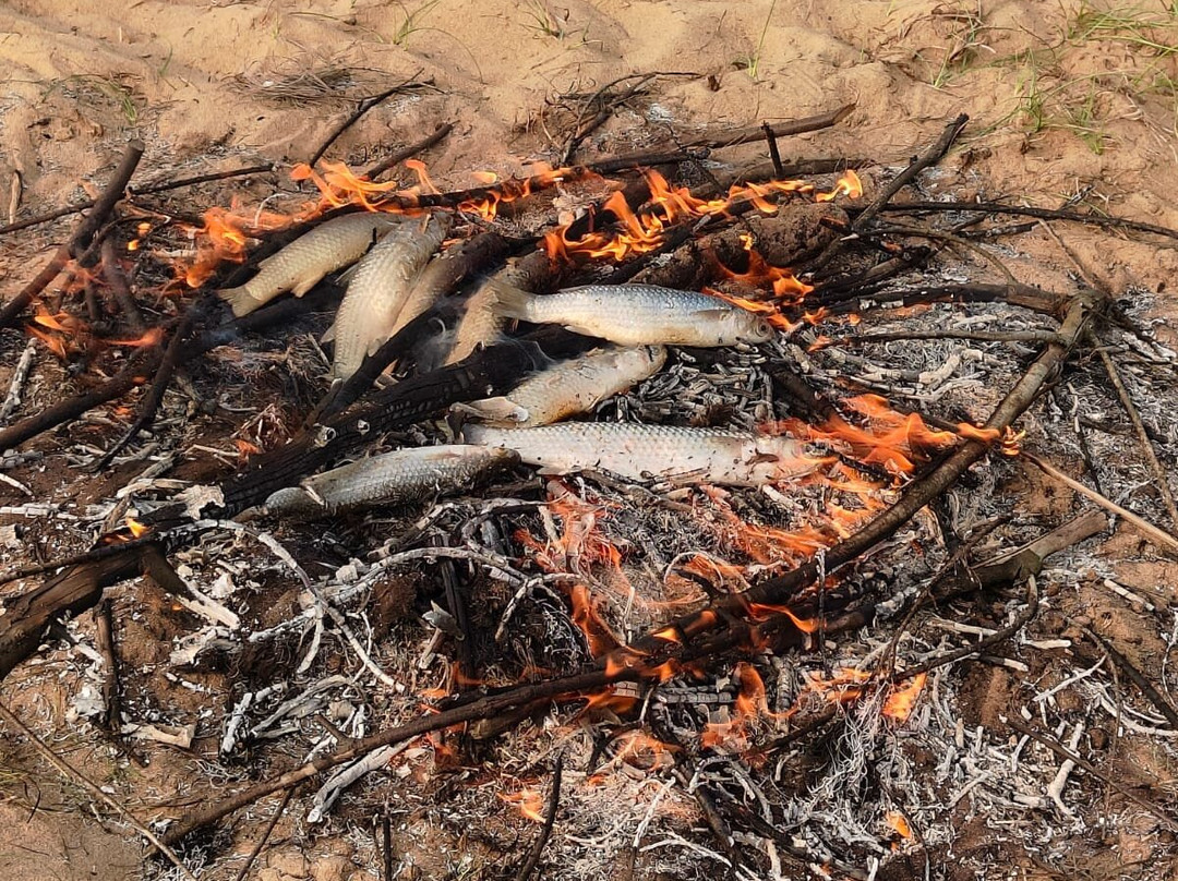 Baliharachandi Temple-普里必去景点