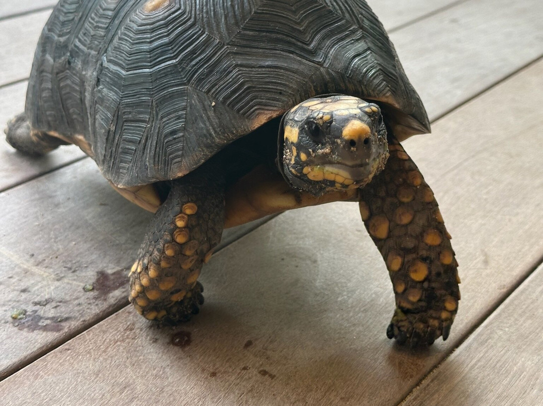 Gyp Sea Hotel & Beach Houses主图