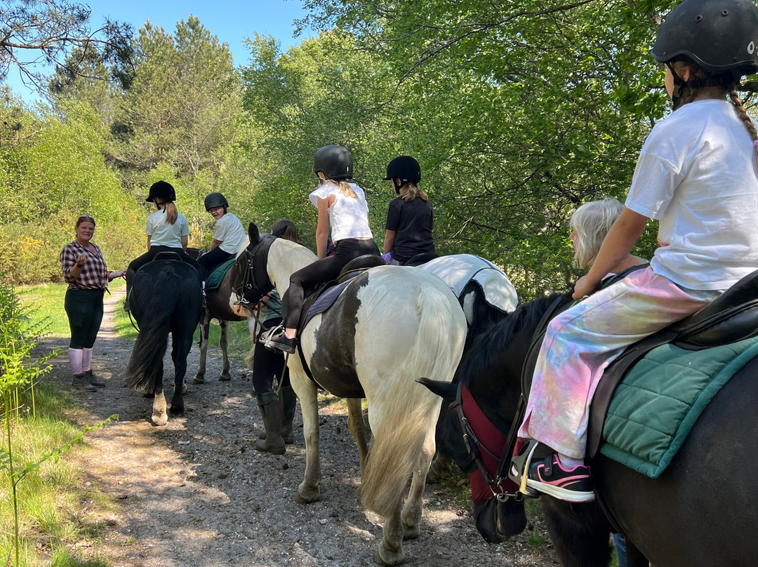 Eastmoors Forest Rides-St Leonards必去景点
