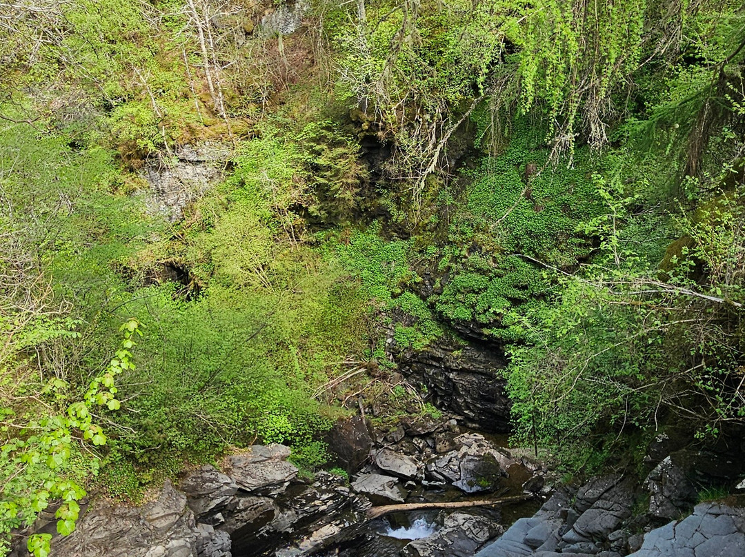The Birks of Aberfeldy-Aberfeldy必去景点