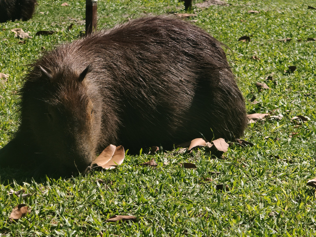 Posada Huella Ibera主图