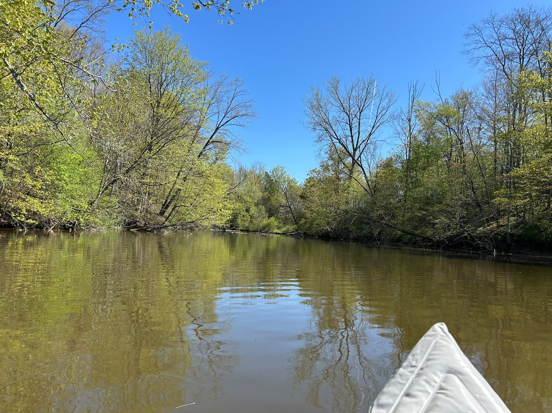 Sharon Creek Conservation Area景点图片
