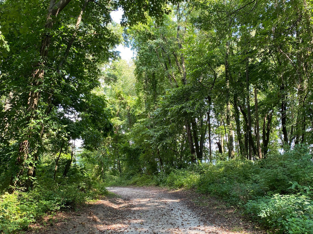 Portage Lakes State Park-阿克伦必去景点