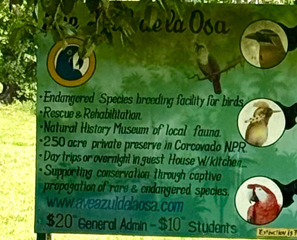 Ave Azul de la Osa-Carate必去景点