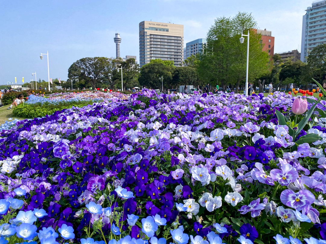 横滨港大栈桥 国际客船总站-横滨市必去景点