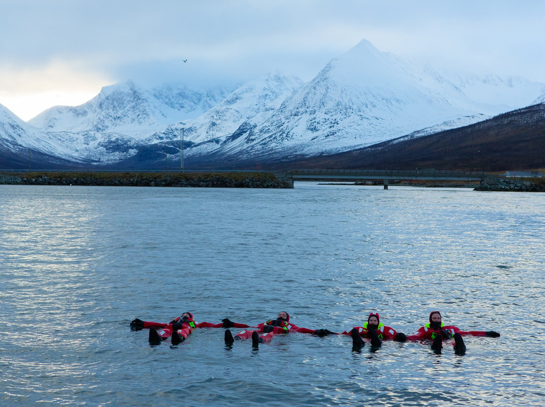 Lyngen Experience Activities景点图片