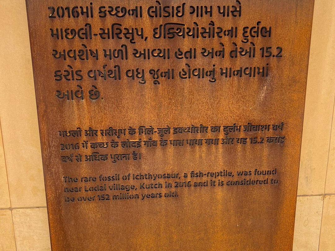 Smritivan Earthquake Memorial & Museum景点图片