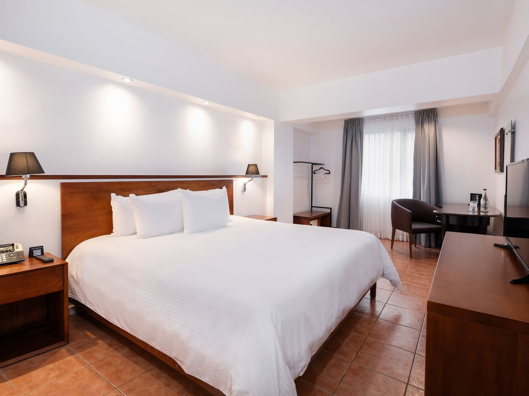 Hotel Presidente主图