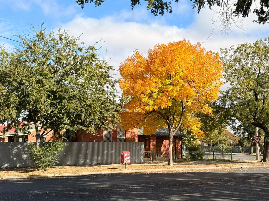 Quest Wagga Wagga主图