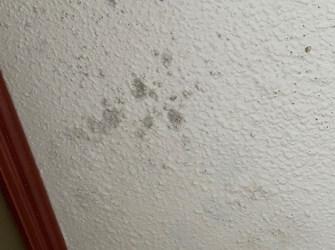 Super 8 by Wyndham Bedford主图