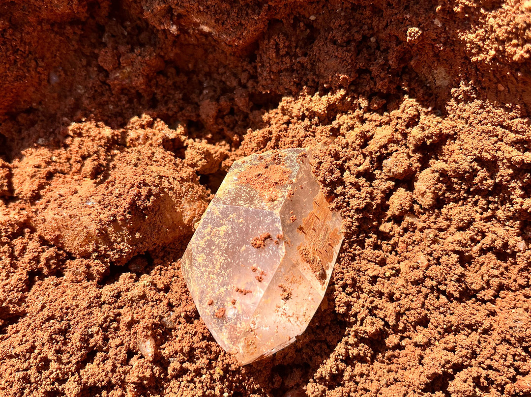 Ron Coleman Mining-Jessieville必去景点