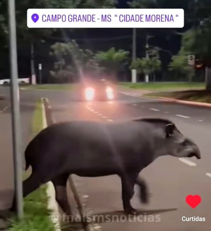 Parque dos Poderes-大坎普市必去景点