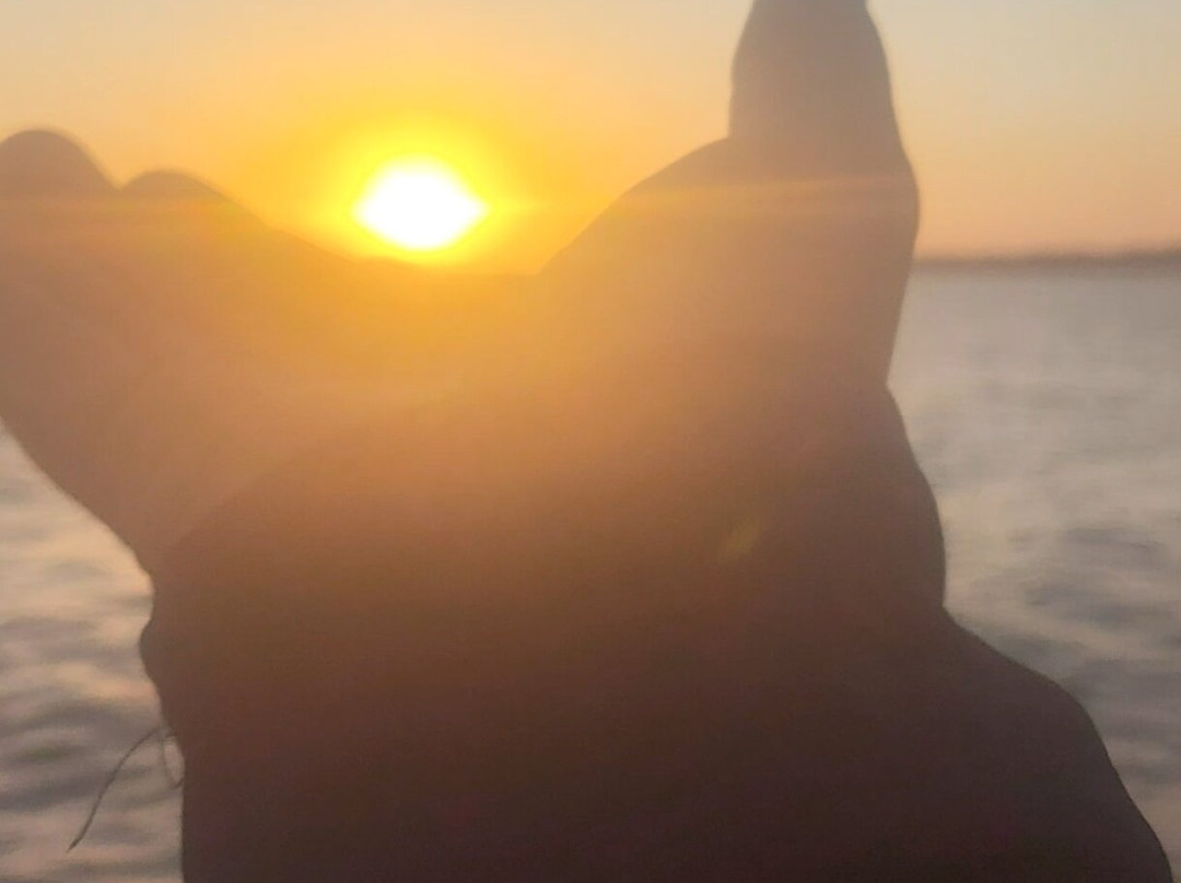 Redonda Beach-Areia Branca必去景点