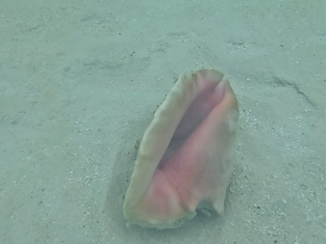 Goodlife Watersports-Leeward必去景点